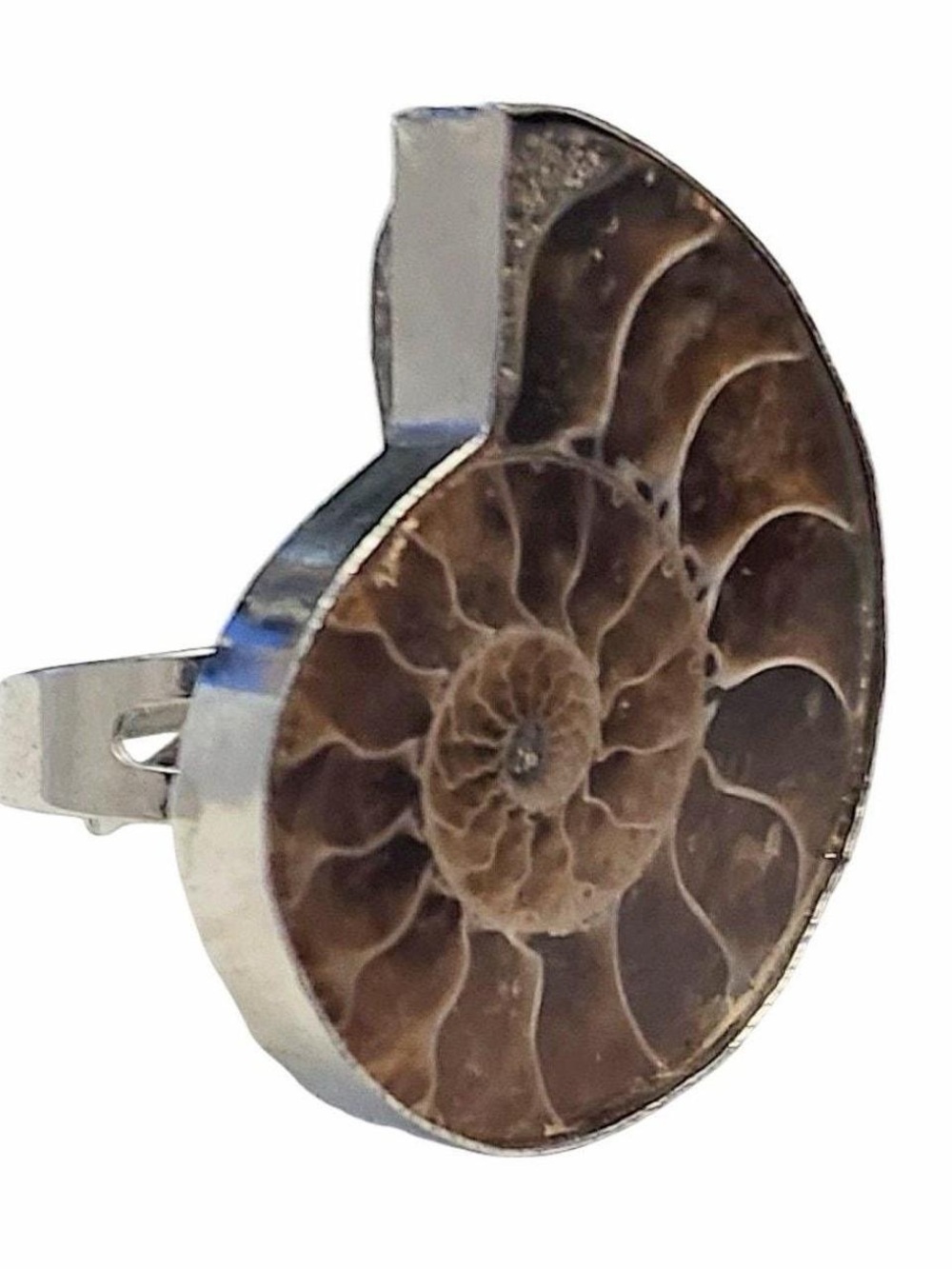 Ammonite Fossil Ring